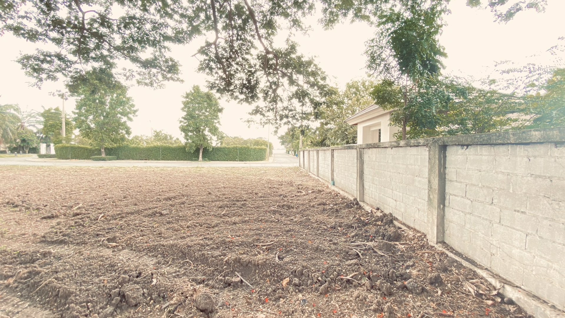 ขายที่ดินเปล่าขนาด-239-ตรว-ต่ำกว่าประเมิน-ในโครงการอารียา-โคโม่-ลาดกระบัง-ใกล้สนามบินสุวรรณภูมิ-และ