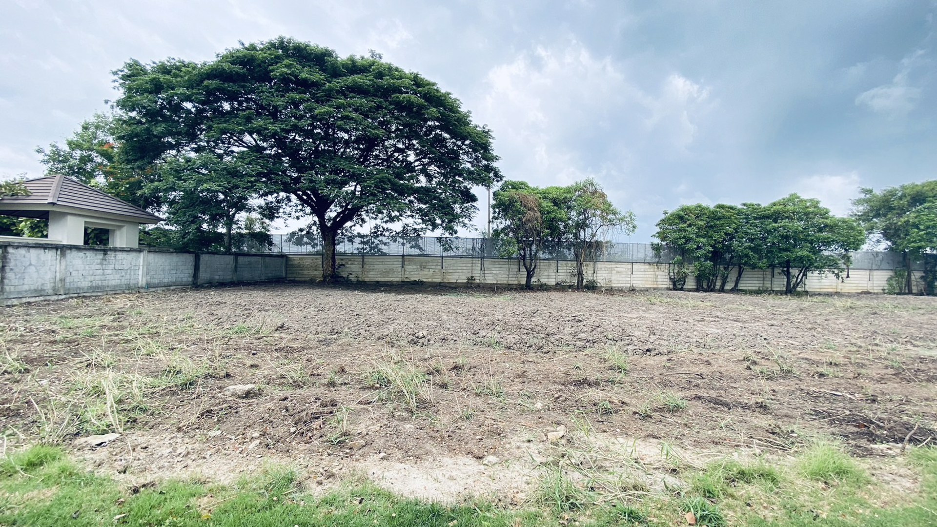 ขายที่ดินเปล่าขนาด-239-ตรว-ต่ำกว่าประเมิน-ในโครงการอารียา-โคโม่-ลาดกระบัง-ใกล้สนามบินสุวรรณภูมิ-และ