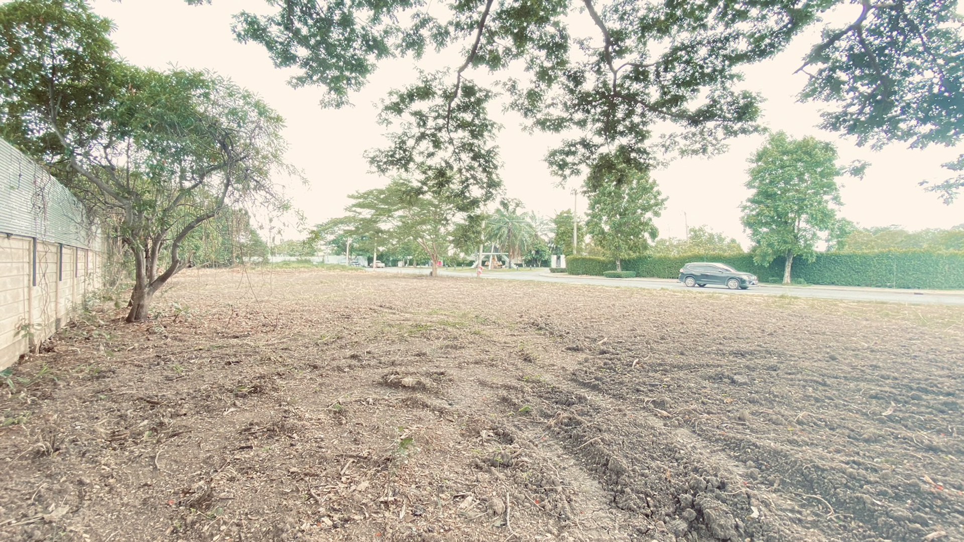 ขายที่ดินเปล่าขนาด-239-ตรว-ต่ำกว่าประเมิน-ในโครงการอารียา-โคโม่-ลาดกระบัง-ใกล้สนามบินสุวรรณภูมิ-และ