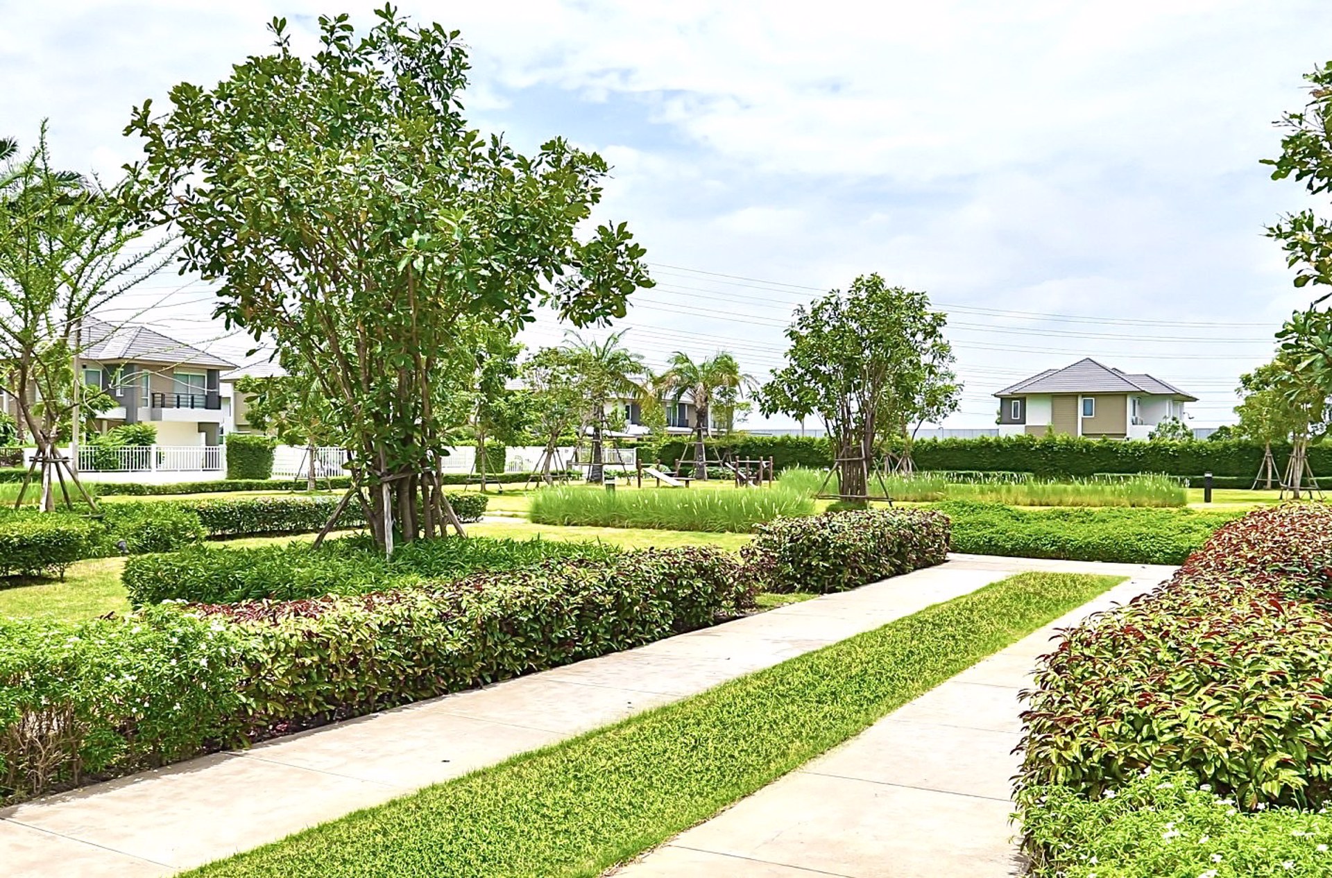 ขายที่ดินเปล่าขนาด-239-ตรว-ต่ำกว่าประเมิน-ในโครงการอารียา-โคโม่-ลาดกระบัง-ใกล้สนามบินสุวรรณภูมิ-และ