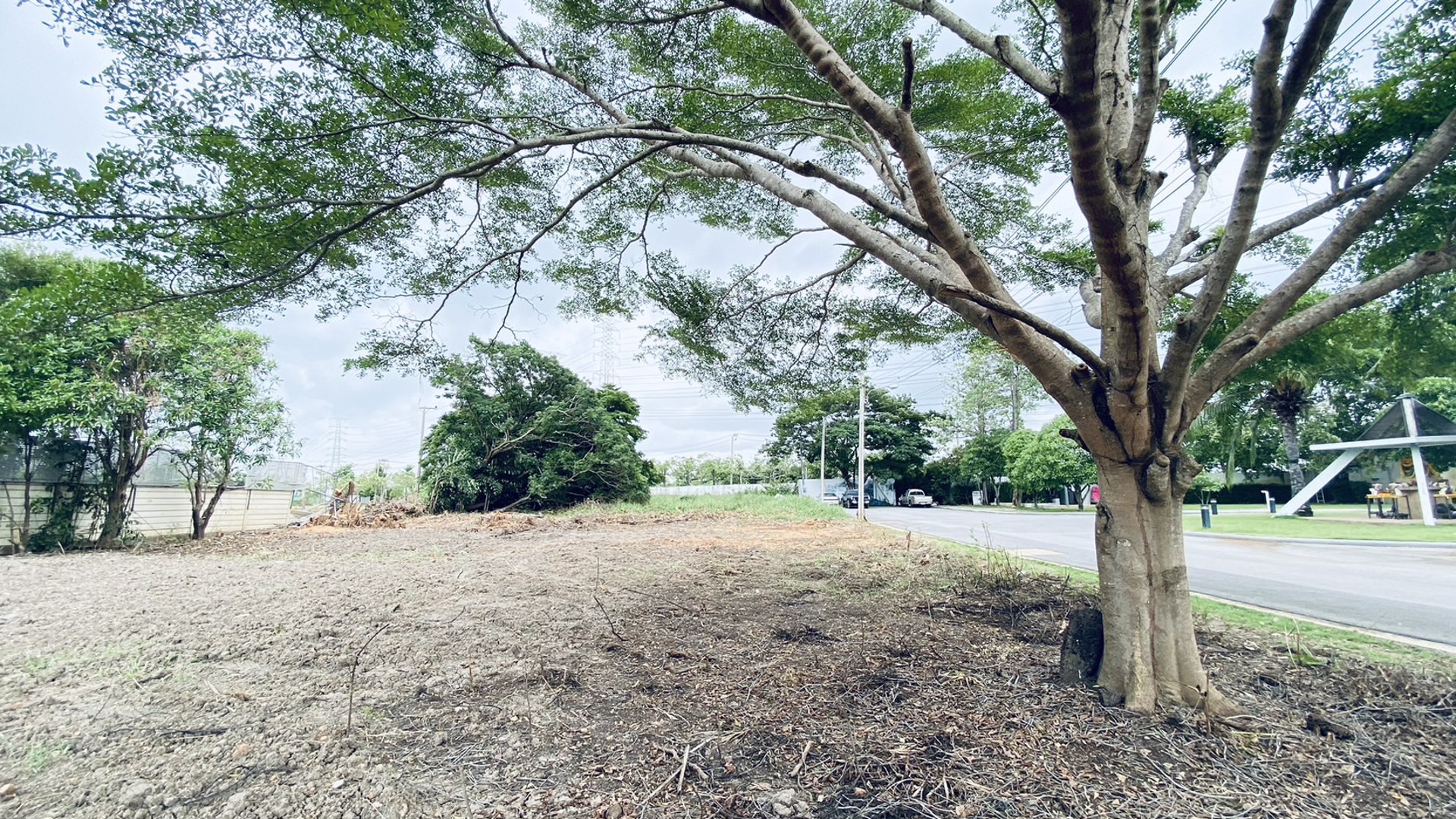 ขายที่ดินเปล่าขนาด-214-ตรว-ต่ำกว่าประเมิน-ในโครงการอารียา-โคโม่-ลาดกระบัง-ใกล้-siam-premium-outlet