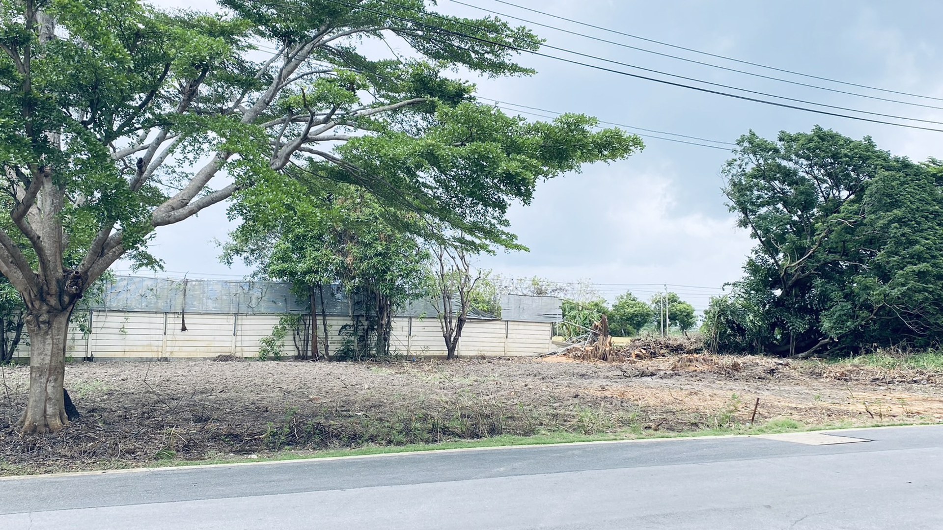 ขายที่ดินเปล่าขนาด-214-ตรว-ต่ำกว่าประเมิน-ในโครงการอารียา-โคโม่-ลาดกระบัง-ใกล้-siam-premium-outlet