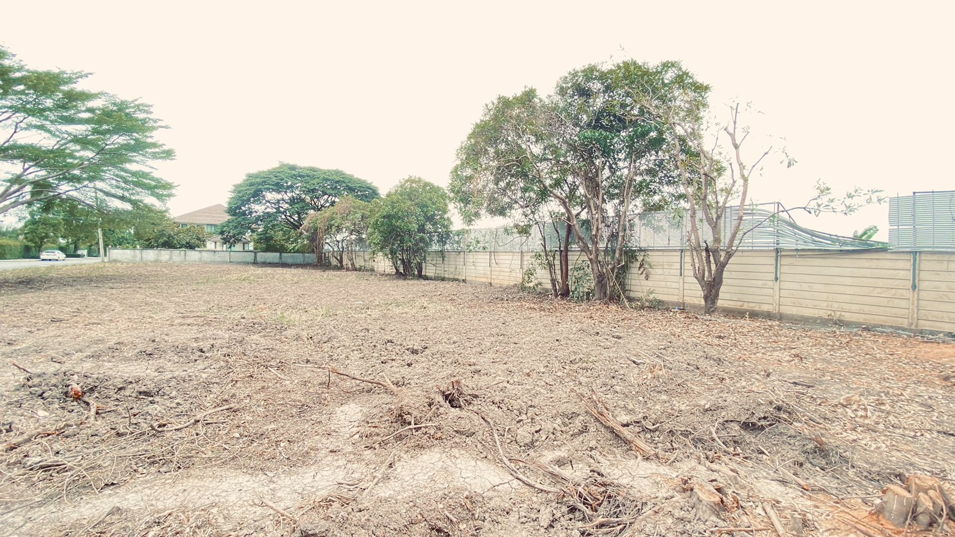 ขายที่ดินเปล่าขนาด-214-ตรว-ต่ำกว่าประเมิน-ในโครงการอารียา-โคโม่-ลาดกระบัง-ใกล้-siam-premium-outlet