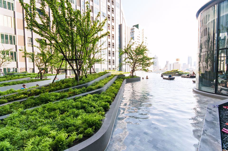 ให้เช่า-for-rent-ideo-q-chula-samyan-ไอดีโอ-คิว-จุฬา-สามย่าน-1-bedroom-1-bathroom