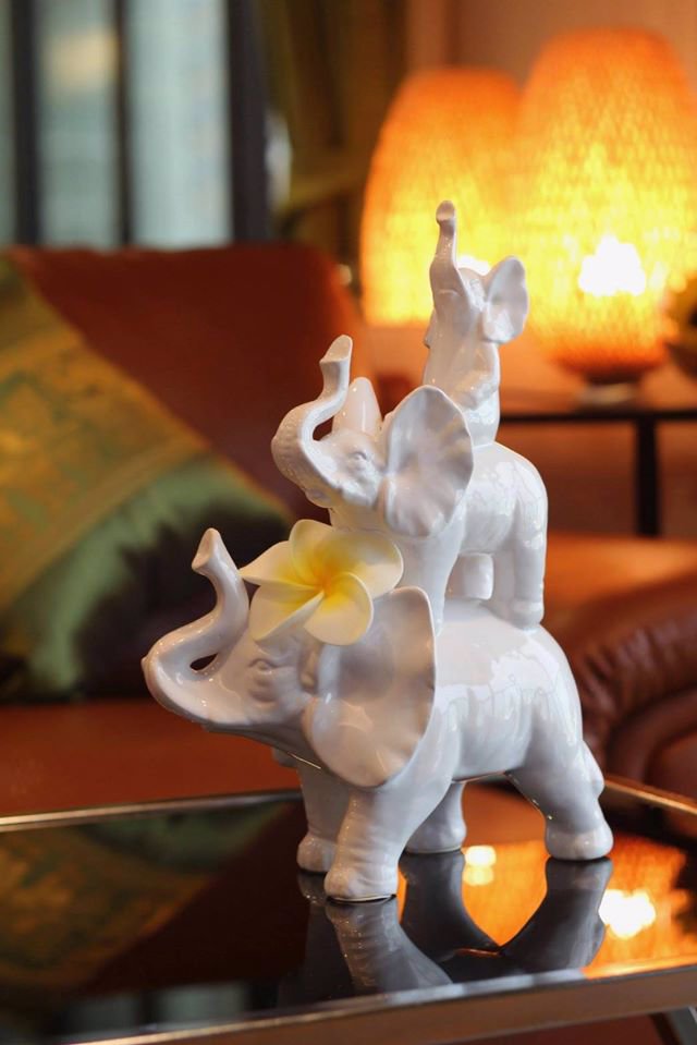 ให้เช่า-for-rent-the-lumpini-24-เดอะ-ลุมพินี-24-2-bedrooms-2-bathrooms