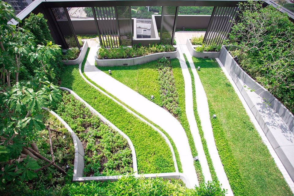 ให้เช่า-for-rent-the-line-asoke-ratchada-เดอะ-ไลน์-อโศก-รัชดา-1-bedroom-1-bathroom