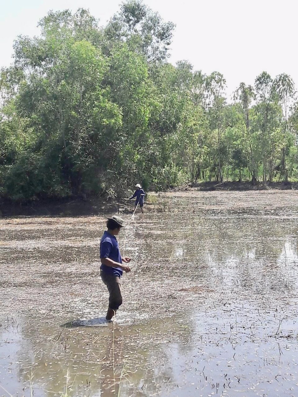 ขายด่วน-ที่ดินเปล่า-นครปฐม-อพุทธมณฑล-เป็นที่ดินนาพื้นที่-2-งาน-2-ตรว