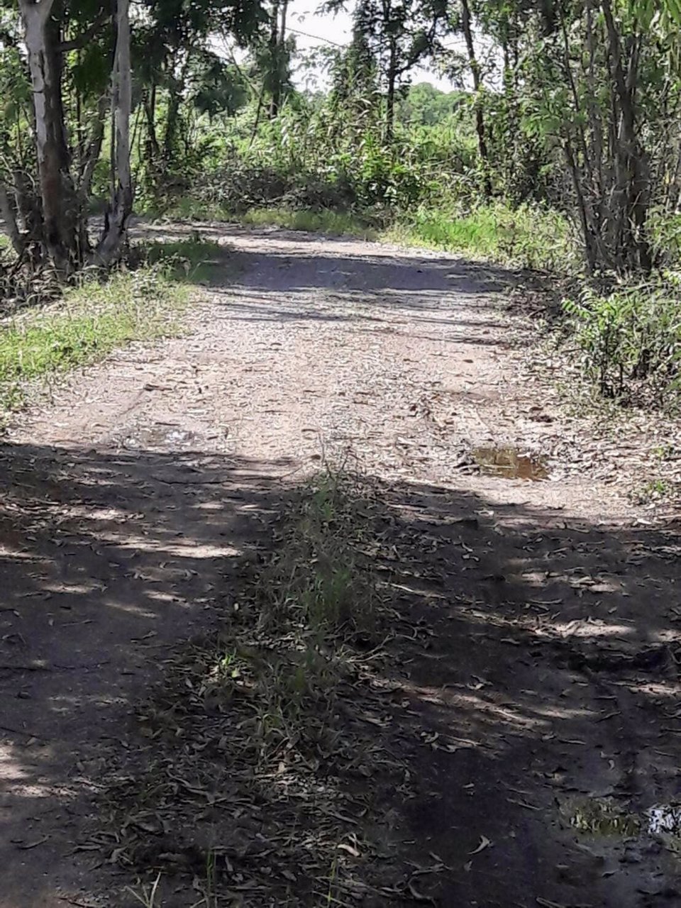 ขายด่วน-ที่ดินเปล่า-นครปฐม-อพุทธมณฑล-เป็นที่ดินนาพื้นที่-2-งาน-2-ตรว