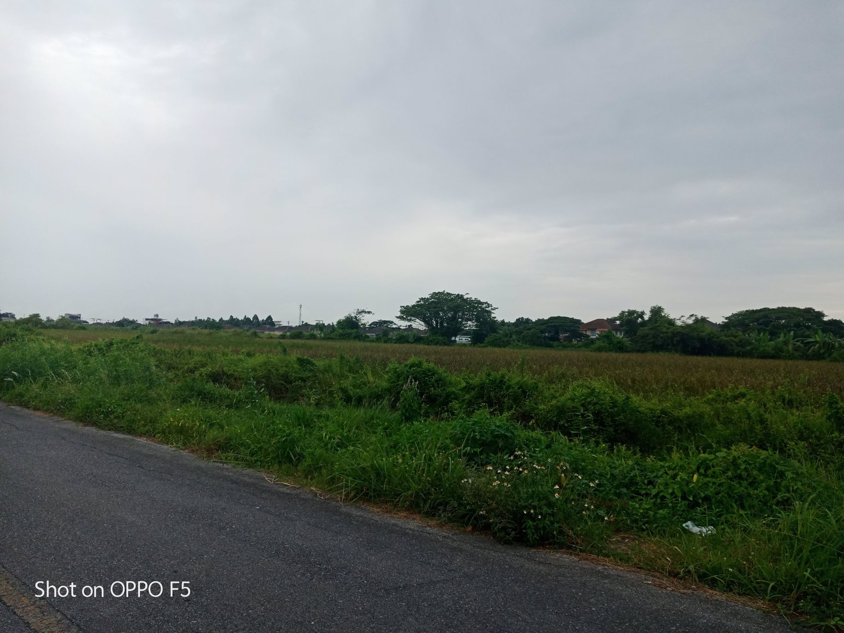 ขายที่ดินแปลงหัวมุมติดถนนพัฒนาการคูขวาง2ด้านหน้ากว้าง800เมตรผังเหลืองเหมาะพัฒนาอสังหาริมทรัพย์