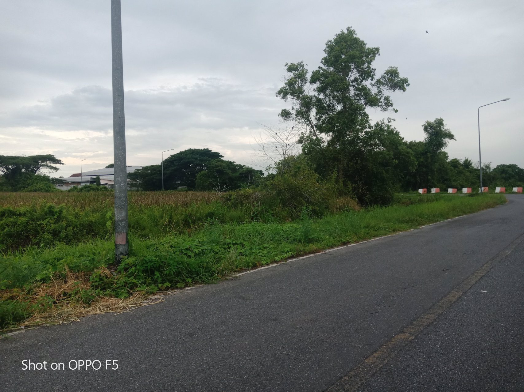 ขายที่ดินแปลงหัวมุมติดถนนพัฒนาการคูขวาง2ด้านหน้ากว้าง800เมตรผังเหลืองเหมาะพัฒนาอสังหาริมทรัพย์