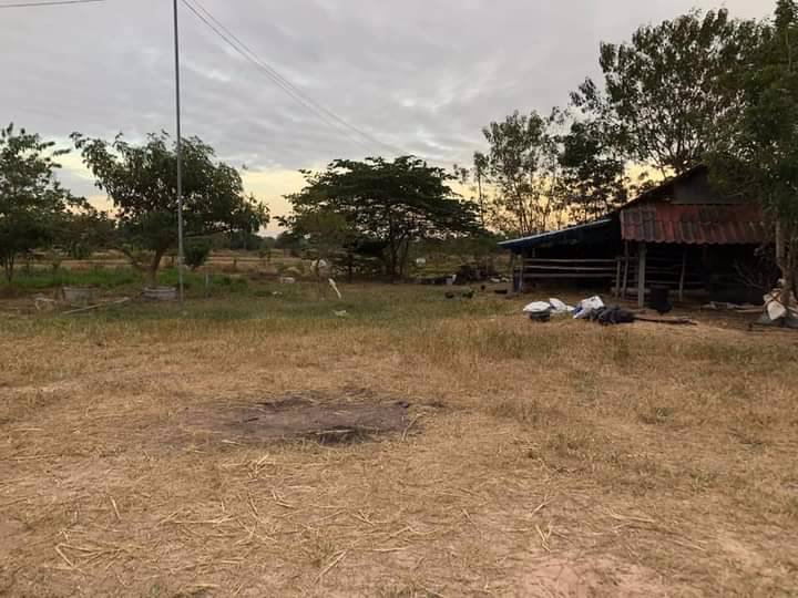 ขายถูกมาก-ที่ดินติดถนนน4เลน-เส้นสารคาม-ร้อยเอ็ด