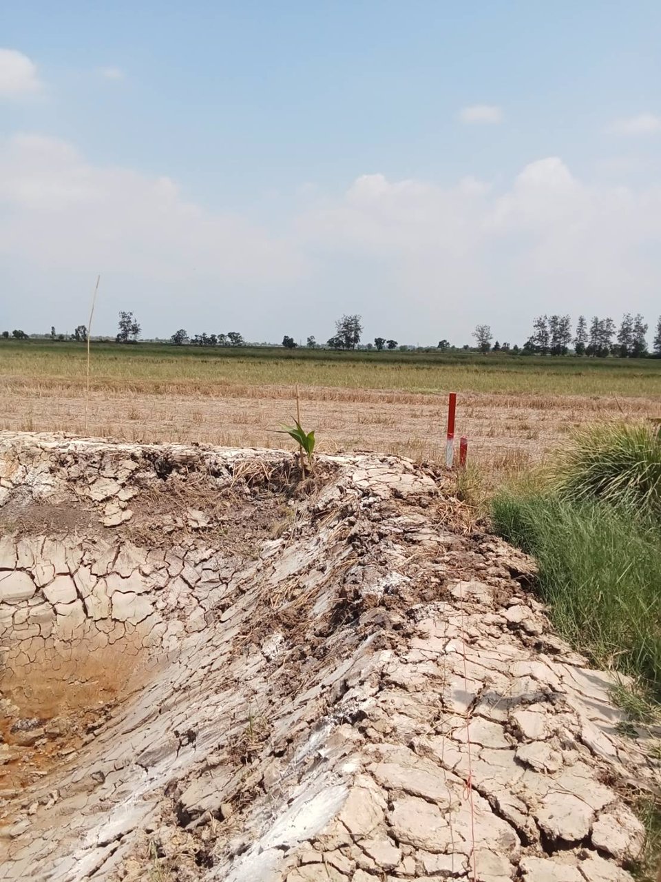 ที่ดินสวย-ทำบ้านสวน-ที่ดินแบ่งขาย-สด-ผ่อน