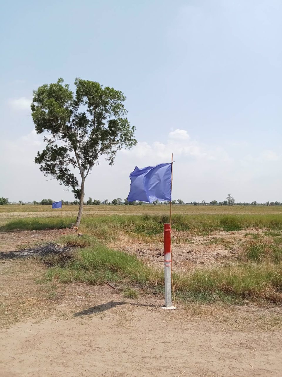 ที่ดินสวย-ทำบ้านสวน-ที่ดินแบ่งขาย-สด-ผ่อน