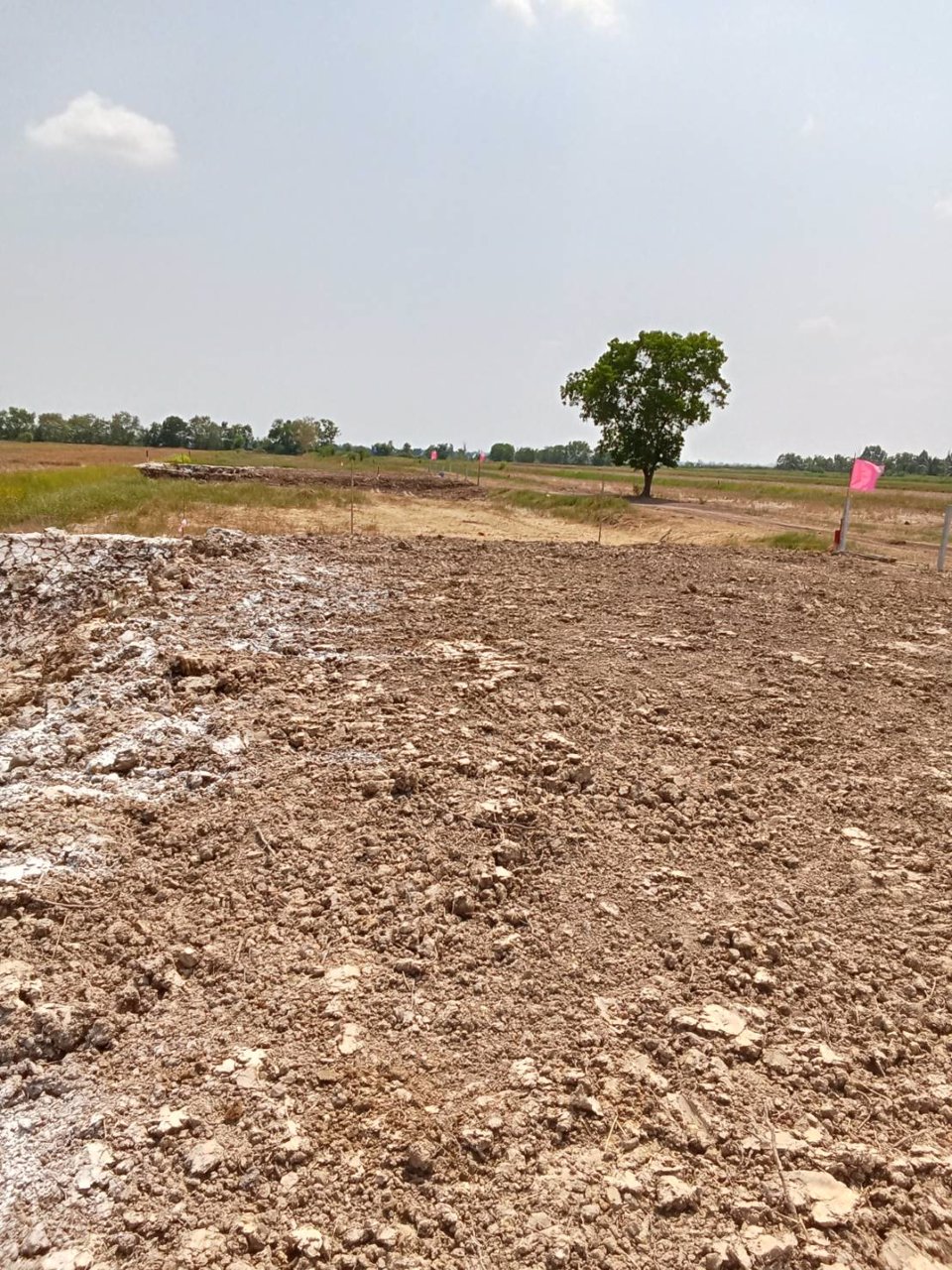 ที่ดินสวย-ทำบ้านสวน-ที่ดินแบ่งขาย-สด-ผ่อน