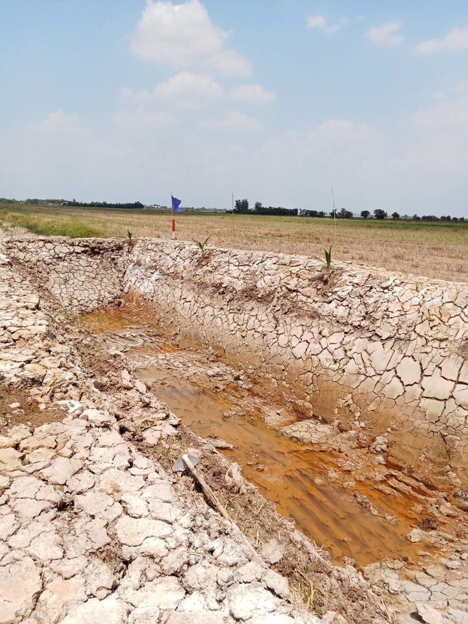 ที่ดินสวย-ทำบ้านสวน-ที่ดินแบ่งขาย-สด-ผ่อน