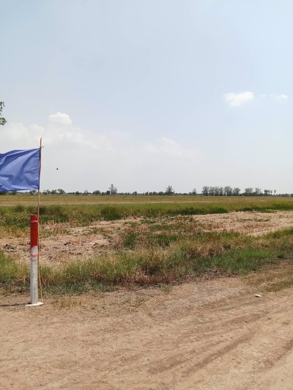 ที่ดินสวย-ทำบ้านสวน-ที่ดินแบ่งขาย-สด-ผ่อน