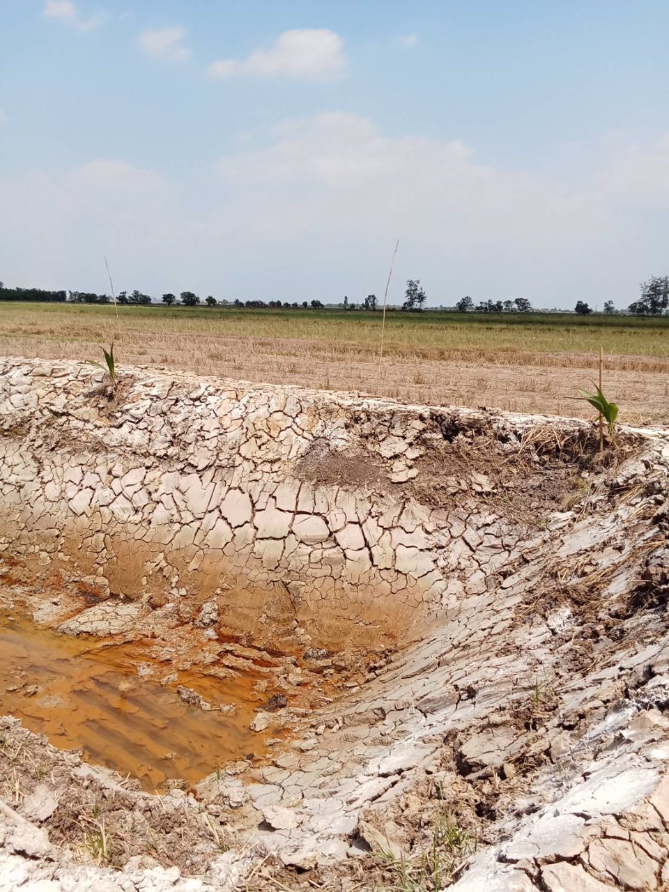 ที่ดินสวย-ทำบ้านสวน-ที่ดินแบ่งขาย-สด-ผ่อน