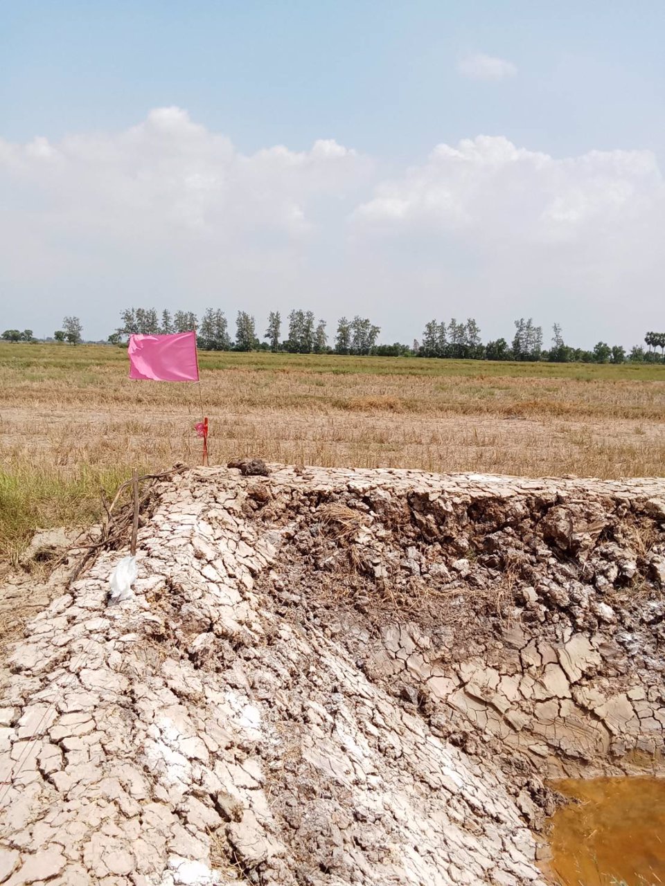 ที่ดินสวย-ทำบ้านสวน-ที่ดินแบ่งขาย-สด-ผ่อน