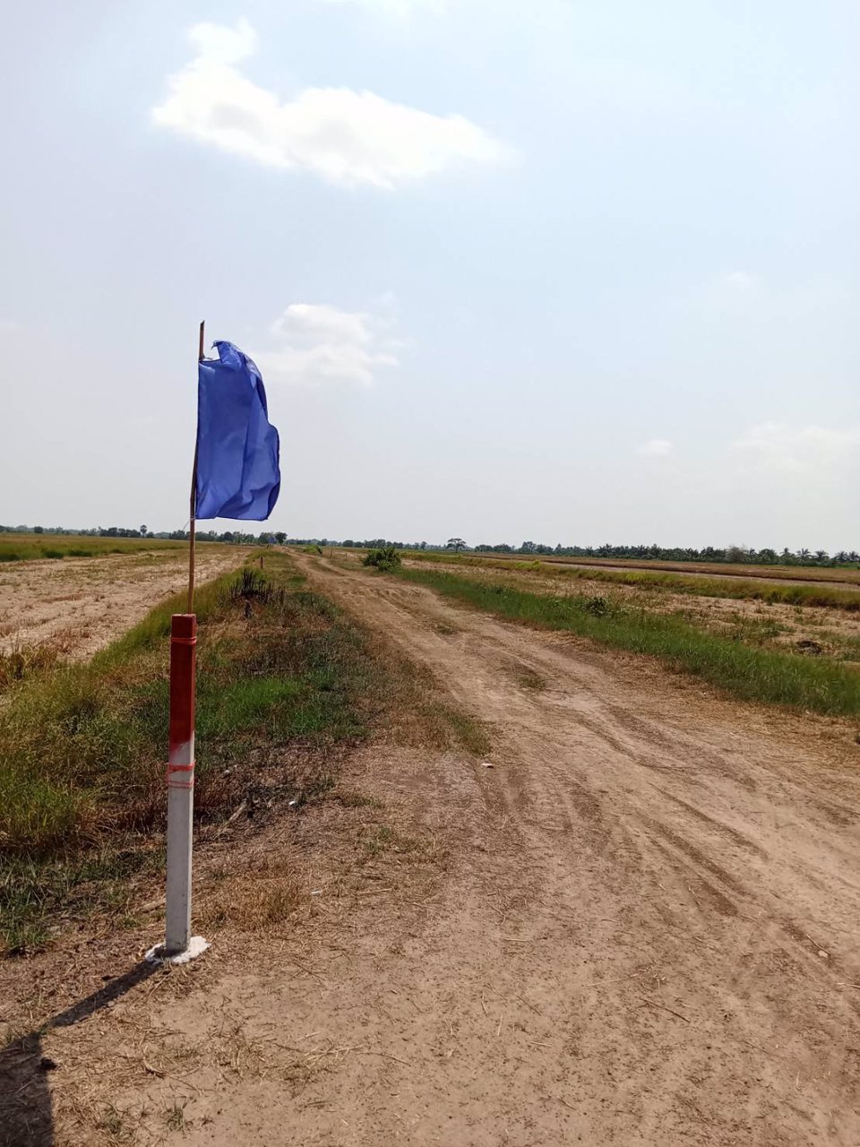 ที่ดินสวย-ทำบ้านสวน-ที่ดินแบ่งขาย-สด-ผ่อน