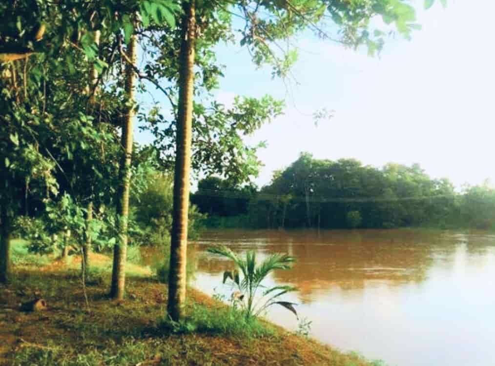 ที่ดินสวย-บรรยากาศดี-ริมแม่น้ำปราจีน-บางปะกง-มีพื้นที่เป็นชายหาดส่วนตัว