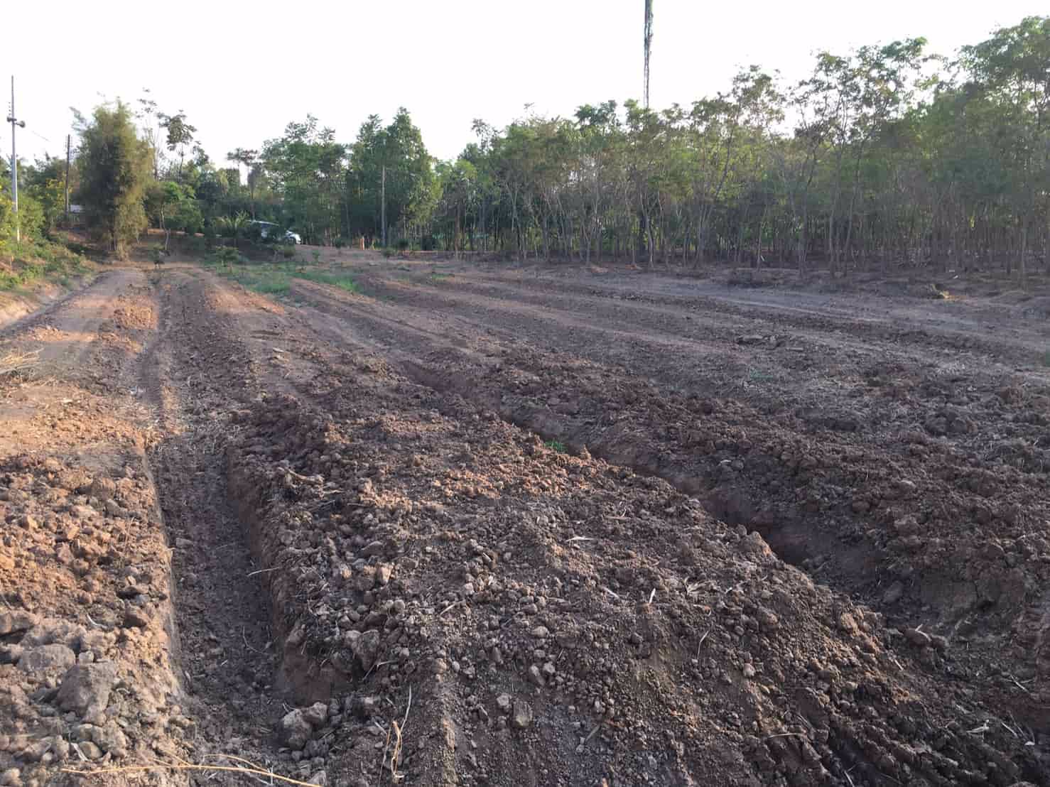ที่ดินสวย-บรรยากาศดี-ริมแม่น้ำปราจีน-บางปะกง-มีพื้นที่เป็นชายหาดส่วนตัว