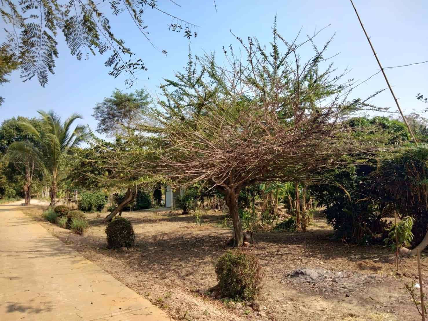 ที่ดินสวย-บรรยากาศดี-ริมแม่น้ำปราจีน-บางปะกง-มีพื้นที่เป็นชายหาดส่วนตัว