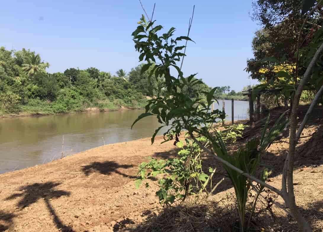 ที่ดินสวย-บรรยากาศดี-ริมแม่น้ำปราจีน-บางปะกง-มีพื้นที่เป็นชายหาดส่วนตัว