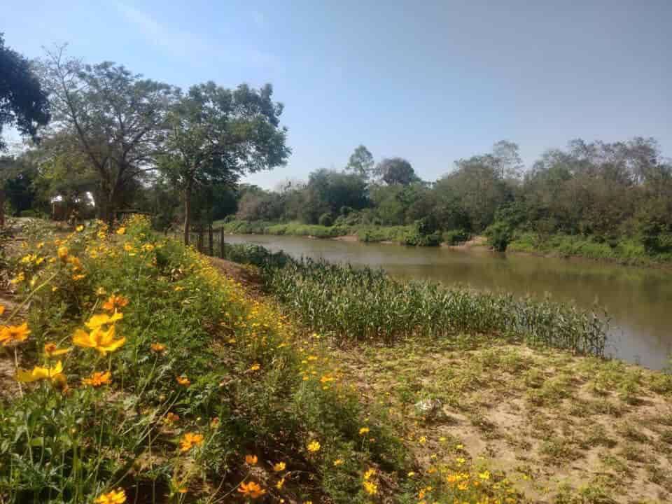 ที่ดินสวย-บรรยากาศดี-ริมแม่น้ำปราจีน-บางปะกง-มีพื้นที่เป็นชายหาดส่วนตัว