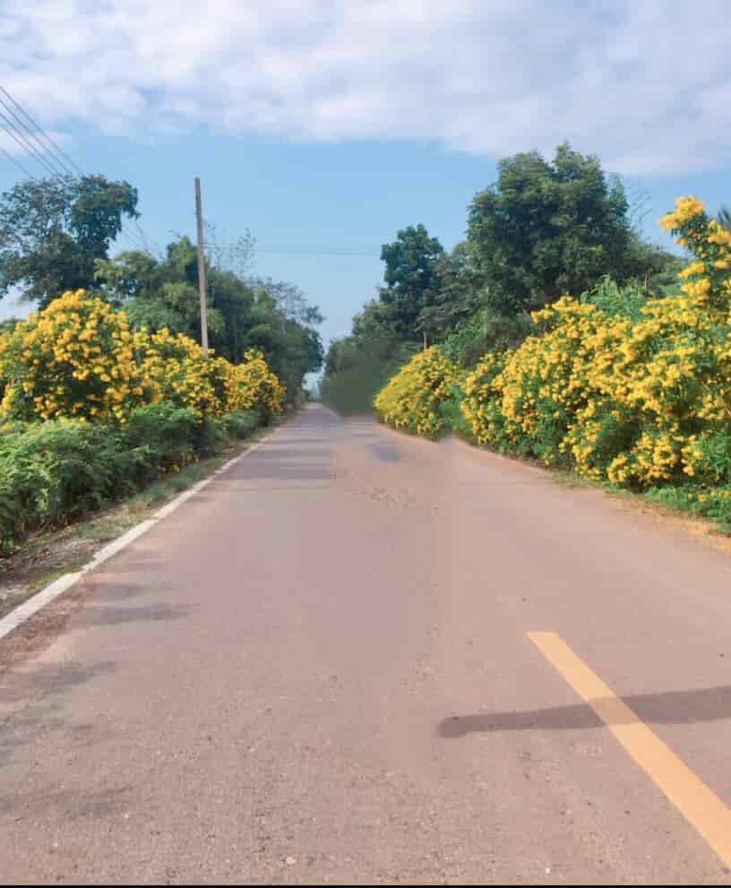 ที่ดินสวย-บรรยากาศดี-ริมแม่น้ำปราจีน-บางปะกง-มีพื้นที่เป็นชายหาดส่วนตัว