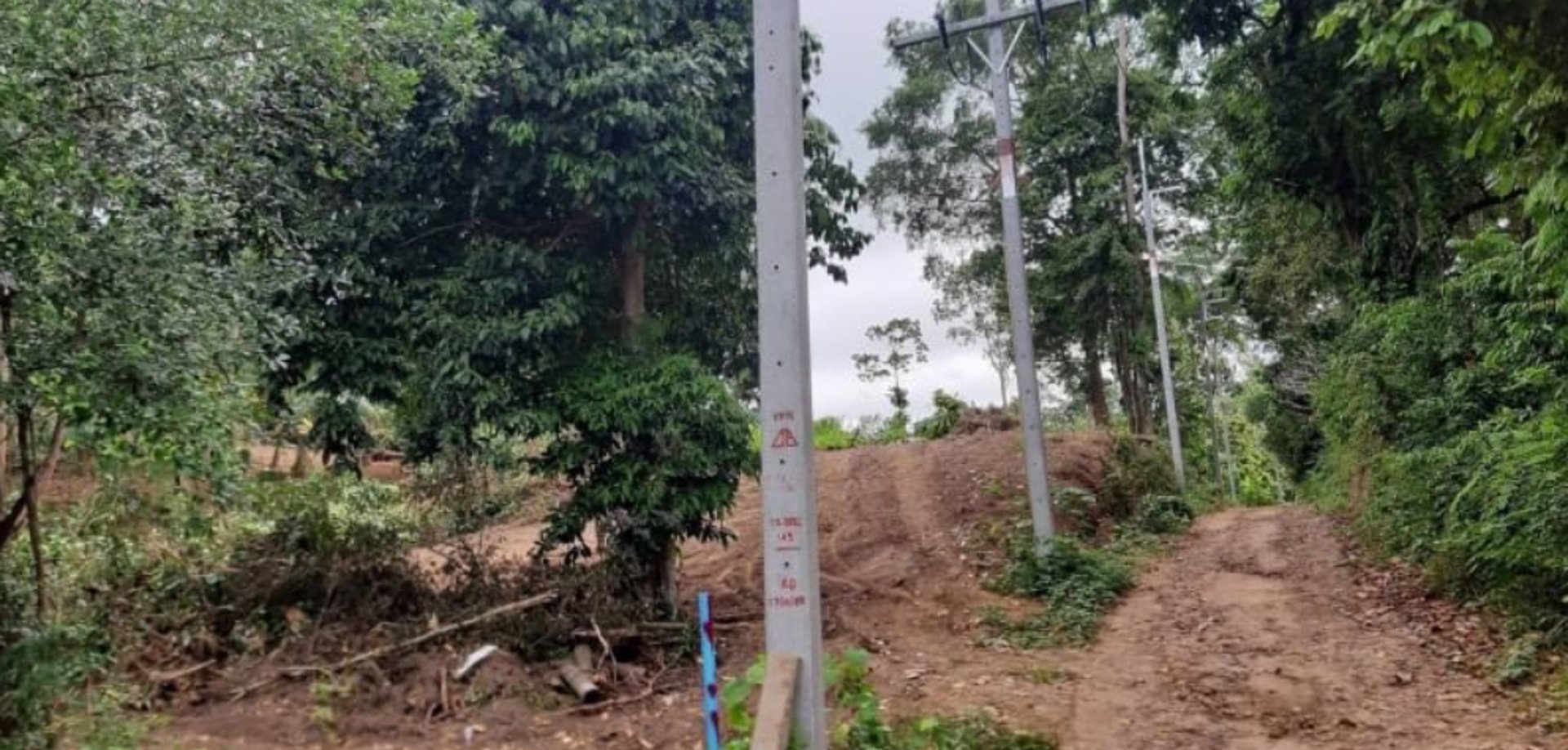 ขายที่ดินสูงสวยวิวทะเล-เกาะสมุย-ไร่ละ29ล้านบาท