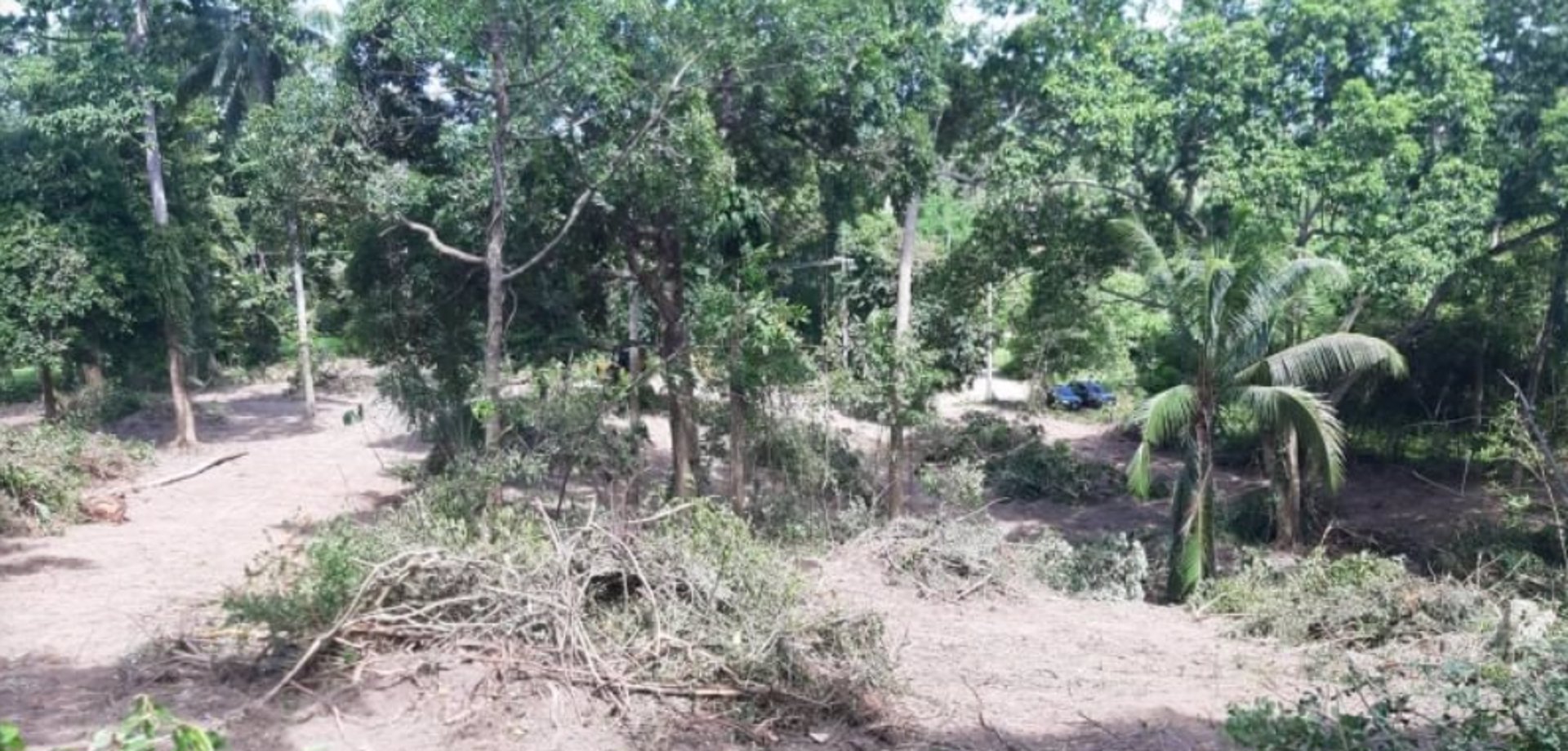 ขายที่ดินสูงสวยวิวทะเล-เกาะสมุย-ไร่ละ29ล้านบาท