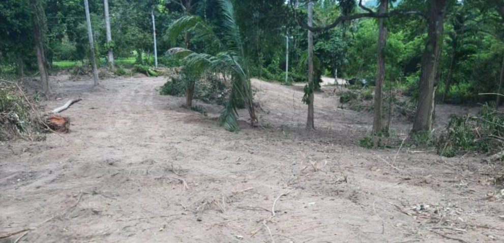 ขายที่ดินสูงสวยวิวทะเล-เกาะสมุย-ไร่ละ29ล้านบาท