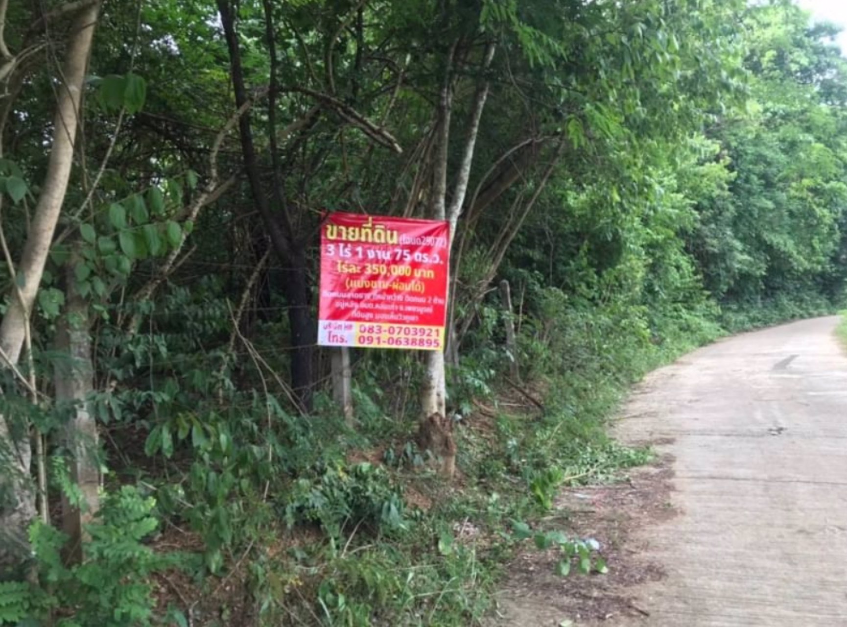 ขายที่ดินวิวสวยๆ-เหมาจะทำรีสอร์ท-คาร์เฟ่-3ไร่-1งาน-75ตรว