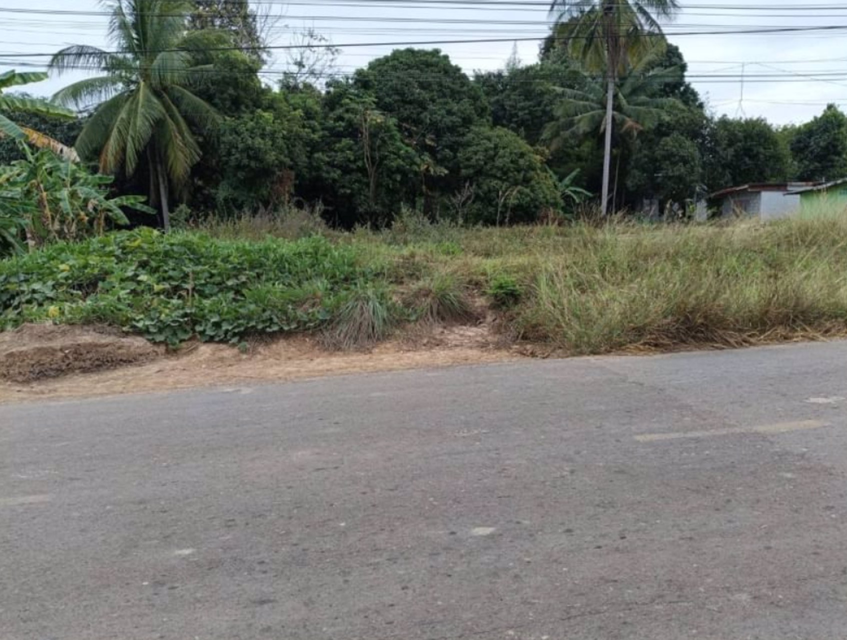 ขาย-ที่ดินถมแล้ว-มีน้ำไฟฟ้า-อยู่ในชุมชน-เนื้อที่-247ตรว