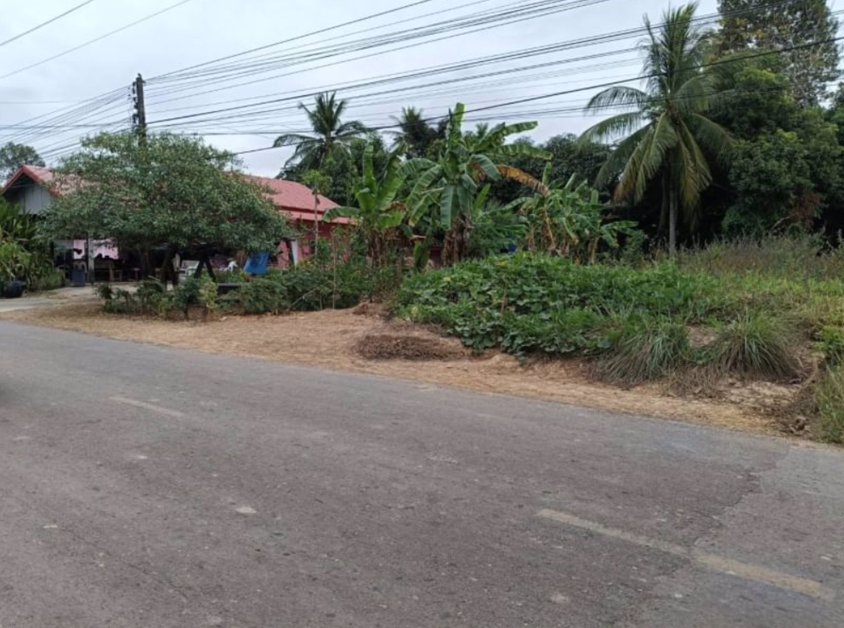 ขาย-ที่ดินถมแล้ว-มีน้ำไฟฟ้า-อยู่ในชุมชน-เนื้อที่-247ตรว