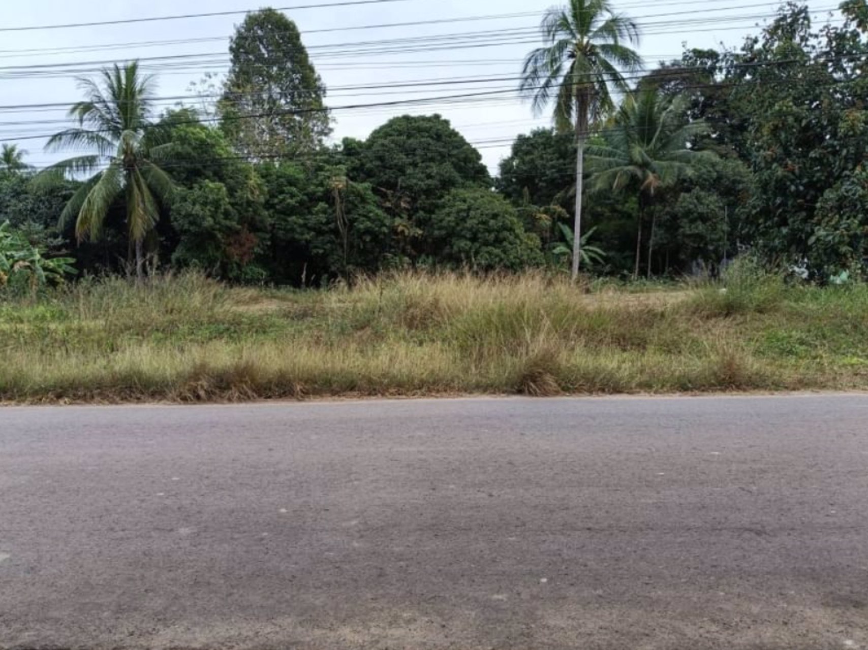 ขาย-ที่ดินถมแล้ว-มีน้ำไฟฟ้า-อยู่ในชุมชน-เนื้อที่-247ตรว