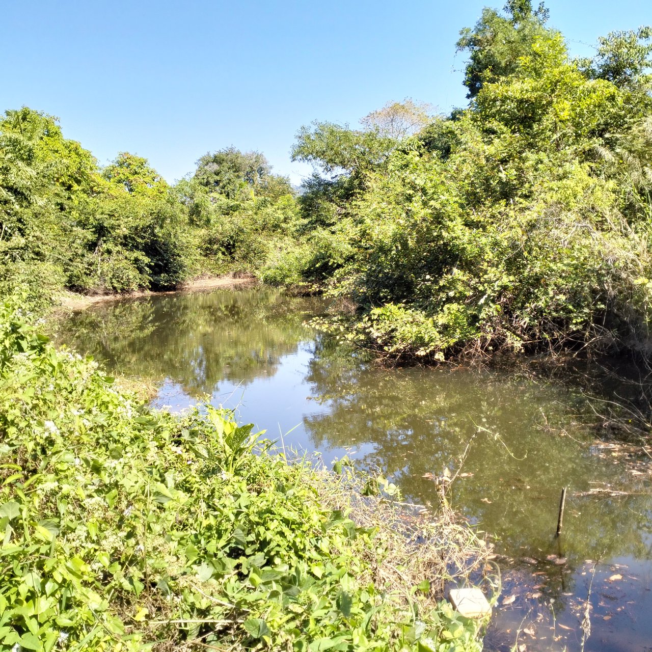 สวนผลไม้-พร้อมผลผลิต-41-ไร่-นายายอาม-จันทบุรี-ขายด่วน