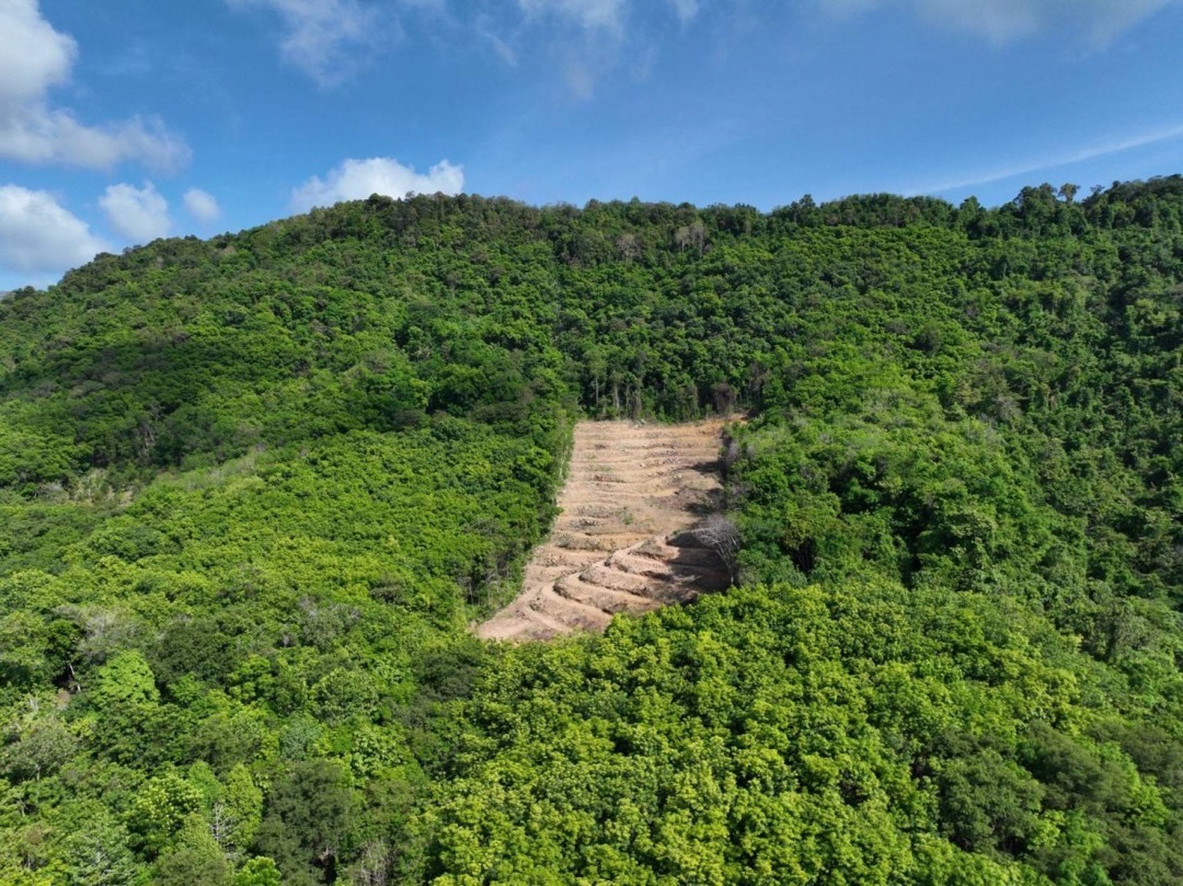 ที่ดินวิวเขาและทะเล-เกาะยาวน้อย