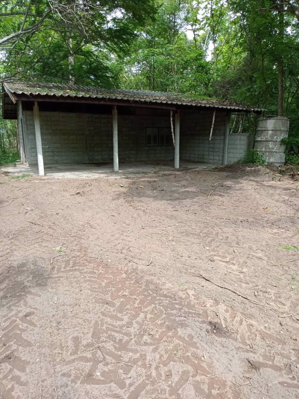 ขายด่วน-ที่ดิน-จตาก-พร้อมต้นสัก-1000-กว่าต้น