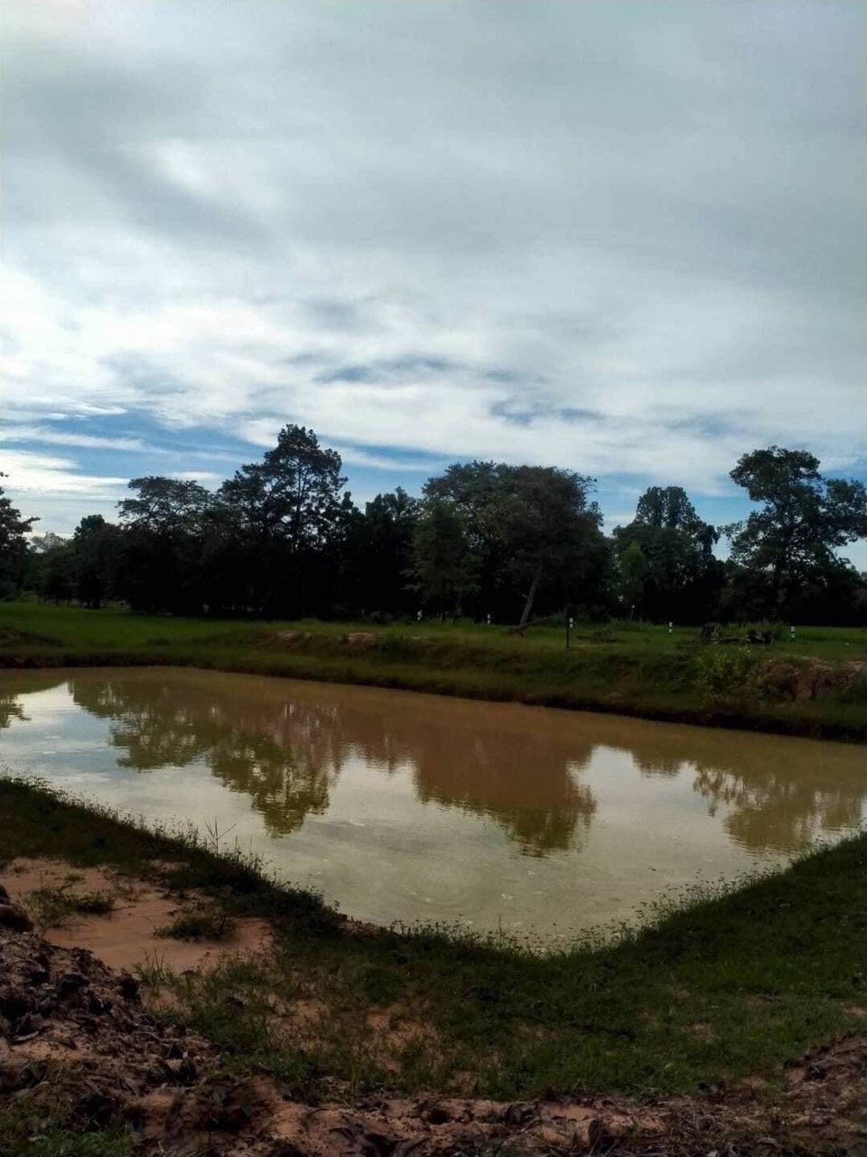 ด่วน-ขายที่ดินแบ่งขาย-10-ไร่-จบุรีรัมย์