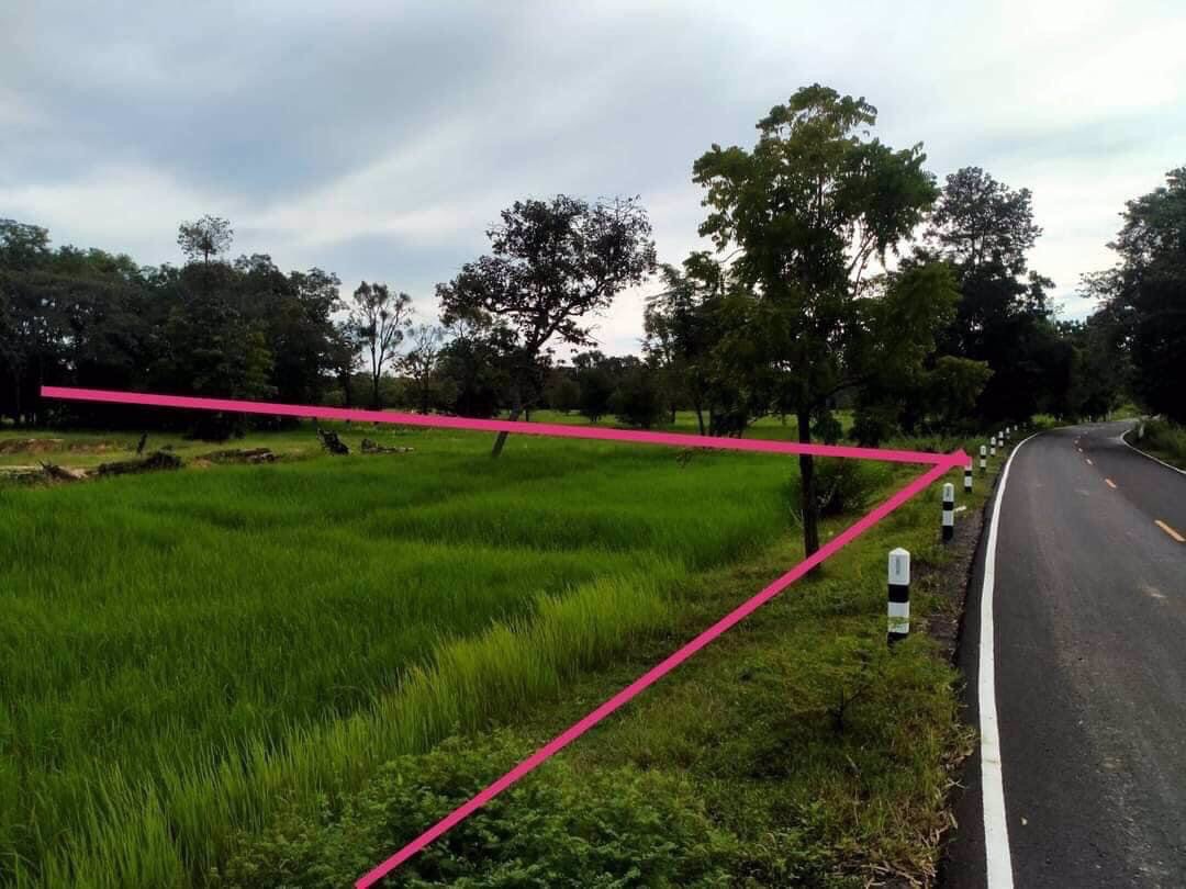 ด่วน-ขายที่ดินแบ่งขาย-10-ไร่-จบุรีรัมย์