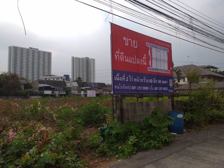 ขายที่ดินเปล่า-8-แปลงๆ-ละ-100-ตร-วา-เทศบาลรังสรรเหนือ-12-14