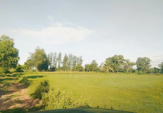 ขาย-ที่ดิน-ใกล้รพยางตลาด-ถนนขอนแก่น-กาฬสินธุ์-อยางตลาด-จกาฬสินธุ์