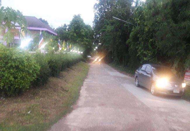 ขาย-ที่ดิน-ใกล้รพยางตลาด-ถนนขอนแก่น-กาฬสินธุ์-อยางตลาด-จกาฬสินธุ์