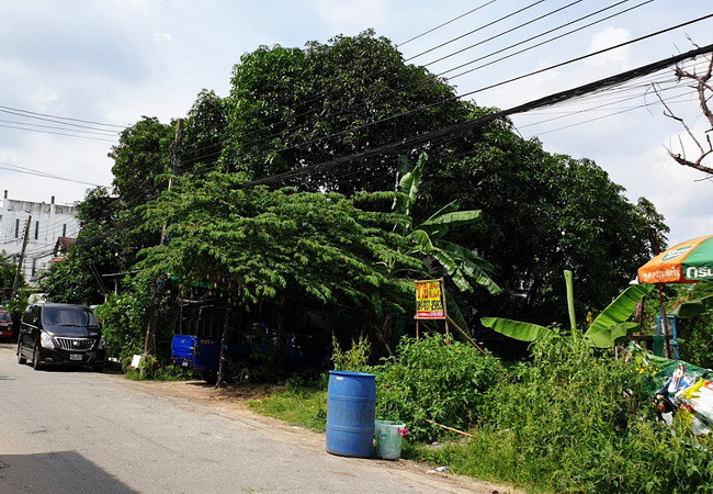 ขายที่ดิน-ถนนเสรีไทย-ซอย-41-ตำบลบางโตนด-เขตบึงกุ่ม-กรุงเทพมหานคร