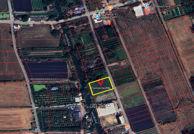 ขายที่ดิน-ตำบลคลองโยง-อำเภอพุทธมณฑล-นครปฐม-ถนนบางเลน-ใกล้-มราชภัฏสวนสุนันทา