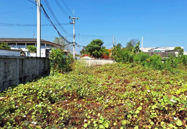 ขายที่ดิน-ซอยคลองสี่ตะวันออก-18-ถนนคลอง-4-อำเภอคลองหลวง-ปทุมธานี