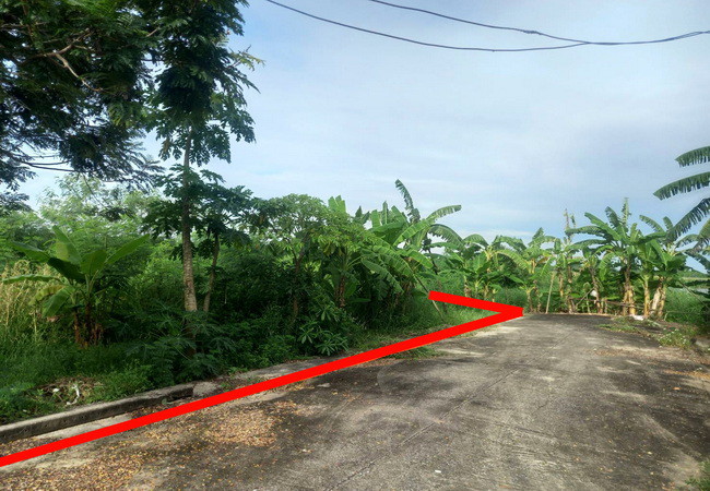 ขายที่ดิน-คลอง-9-ในโครงการบ้านสวนเก้าพัฒนา-ถนนลำลูกกา-อำเภอลำลูกกา-ปทุมธานี