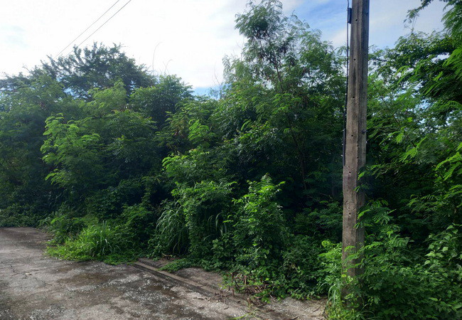 ขายที่ดิน-คลอง-9-ในโครงการบ้านสวนเก้าพัฒนา-ถนนลำลูกกา-อำเภอลำลูกกา-ปทุมธานี