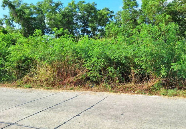 ขายที่ดิน-ซอยคลองสี่ตะวันออก-18-ถนนคลองหลวง-อำเภอคลองหลวง-ปทุมธานี